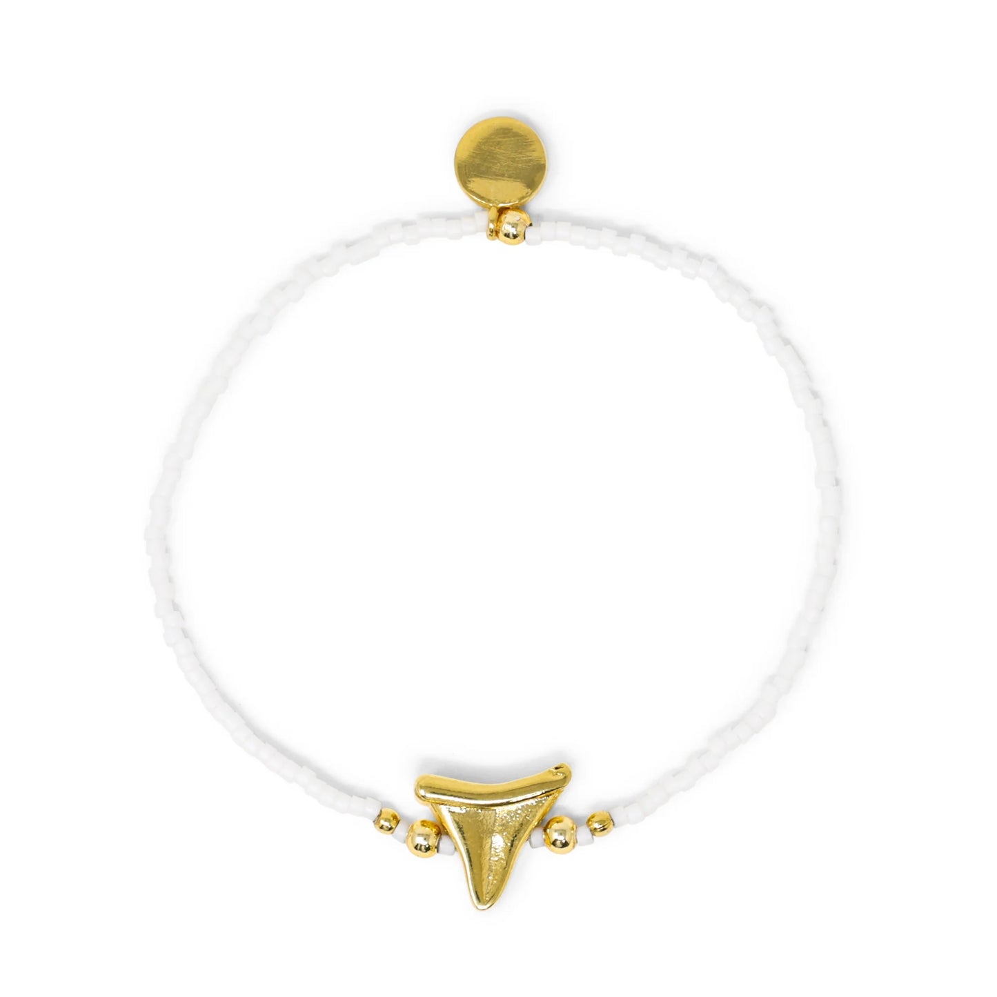 White Sharks Tooth Bracelet